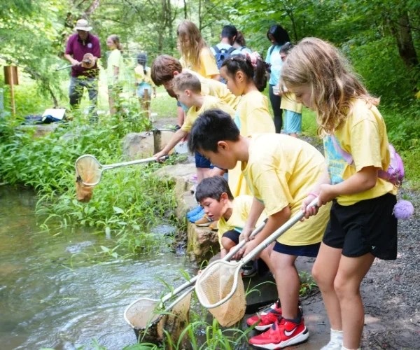 Children playing with nets outdoors at summer day camp