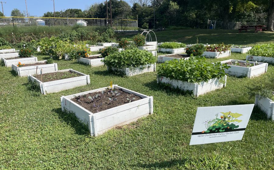 UP Community Garden News Post