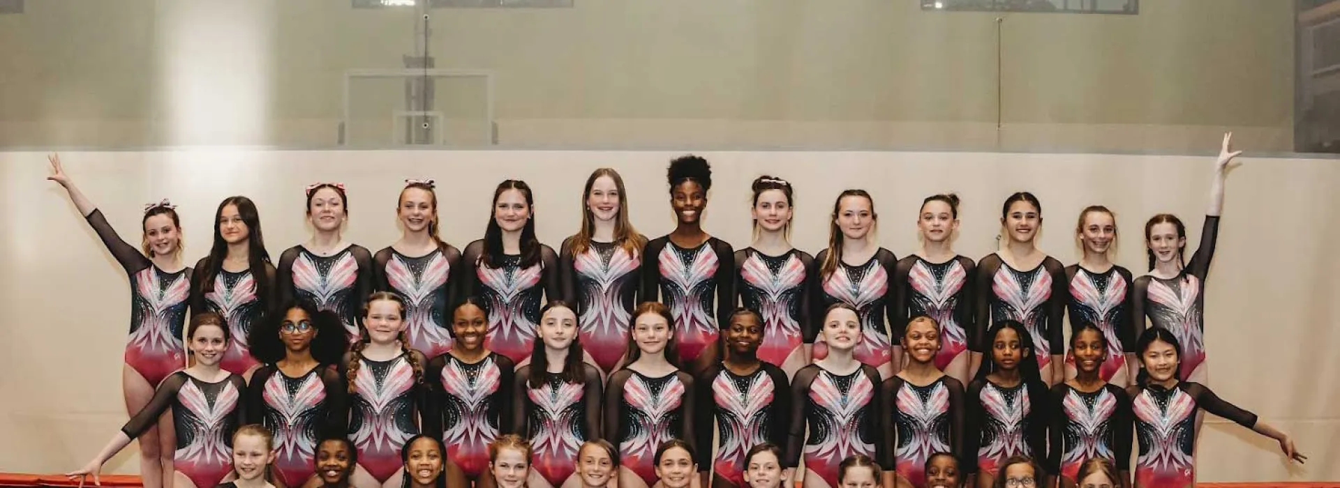 Haverford Gymnastics Team