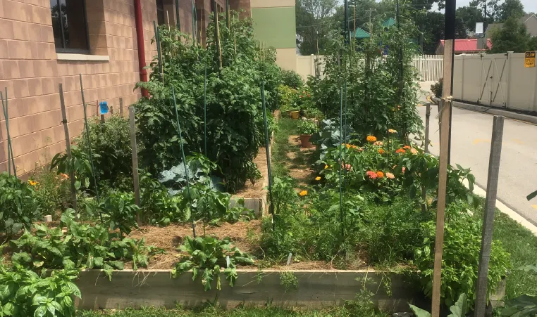 Haverford Community Garden News Post