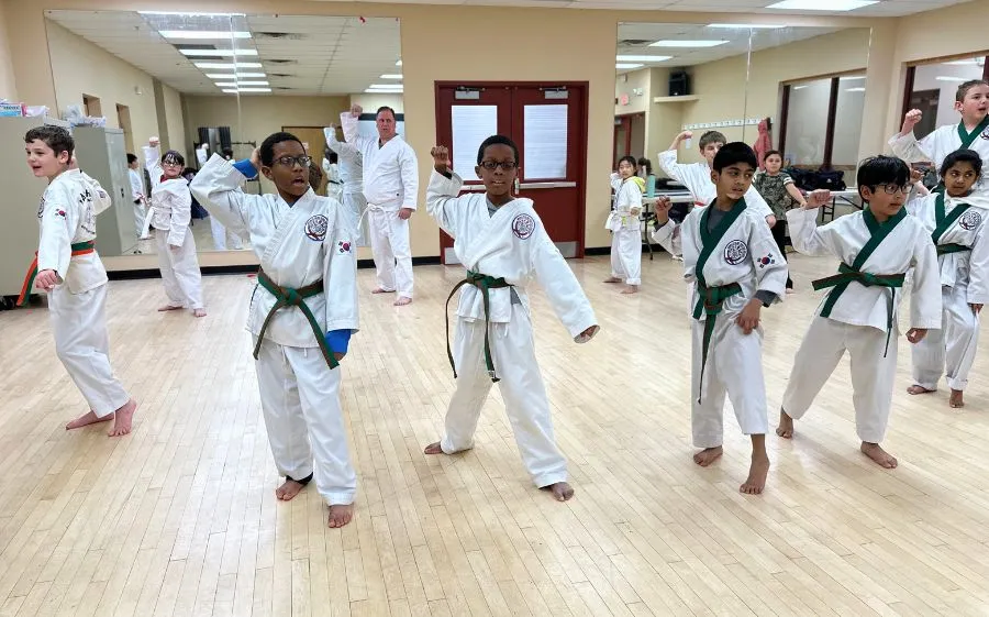 tang soo do news post