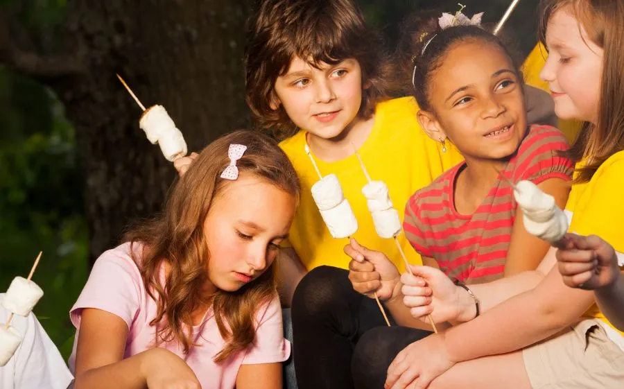 fire pit smores news post