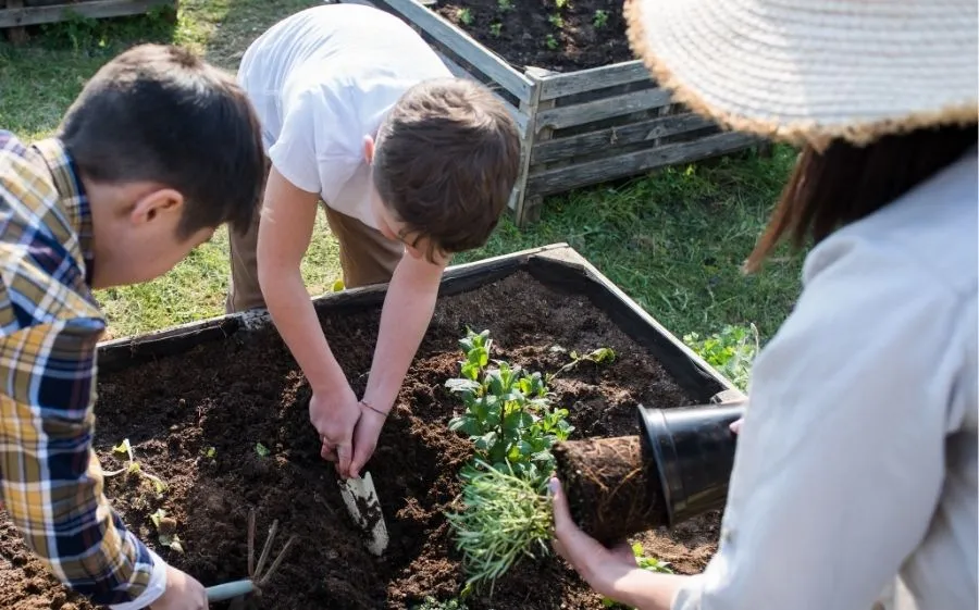 garden news post