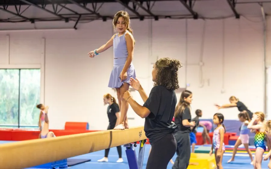 Haverford YMCA Gymnastics Center News Post