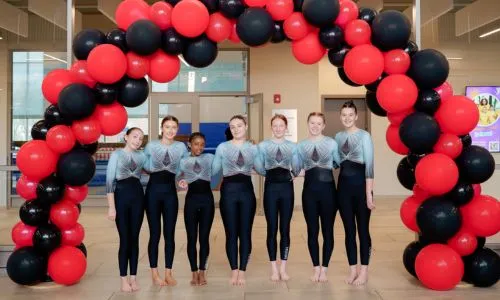 WG Gymnastics Platinum