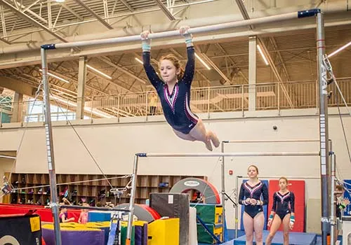 Gymnastics Team