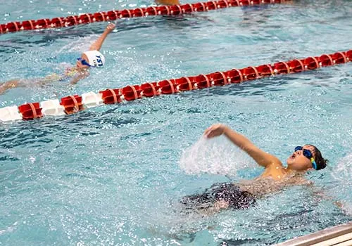 Swim Teams