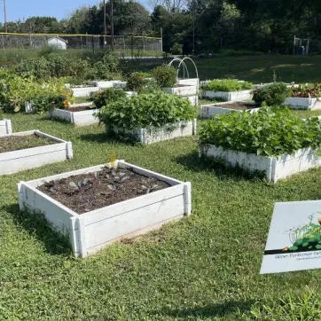 UP Community Garden News Post