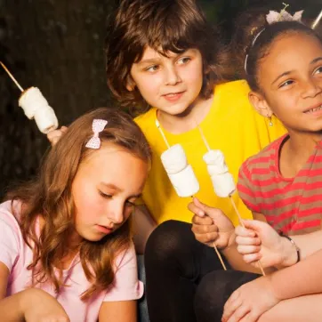 fire pit smores news post