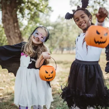 roxborough halloween news psot