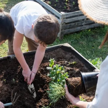 garden news post
