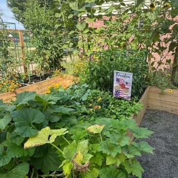 Rocky Run Community Garden News Post