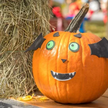 pumpkin decorating contest news post