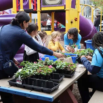Kids learning gardening