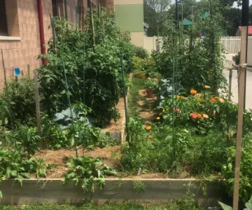 Haverford Community Garden News Post