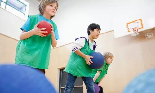 Dodgeball Programs