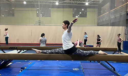 Adult Gymnastics