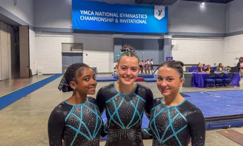 Willow Grove Twisters Xcel Diamond Grid 500x300
